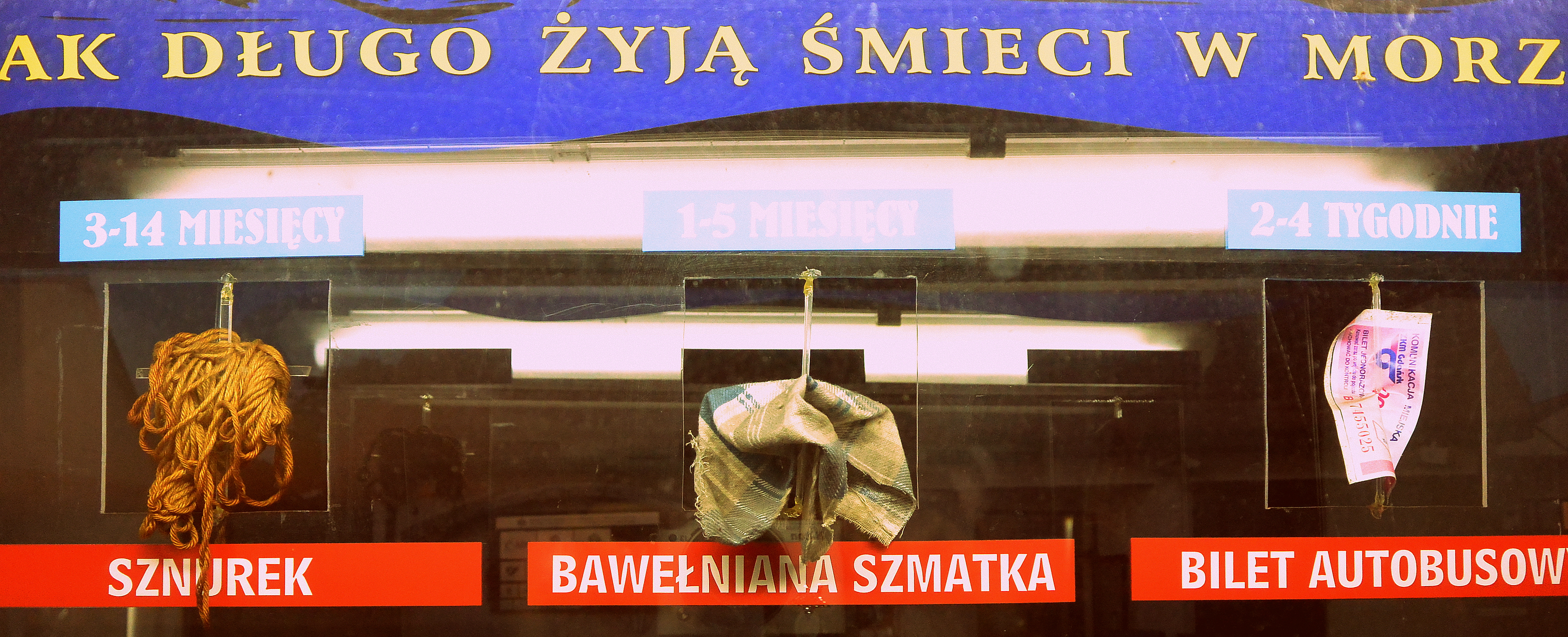 Śmieci w morzu
