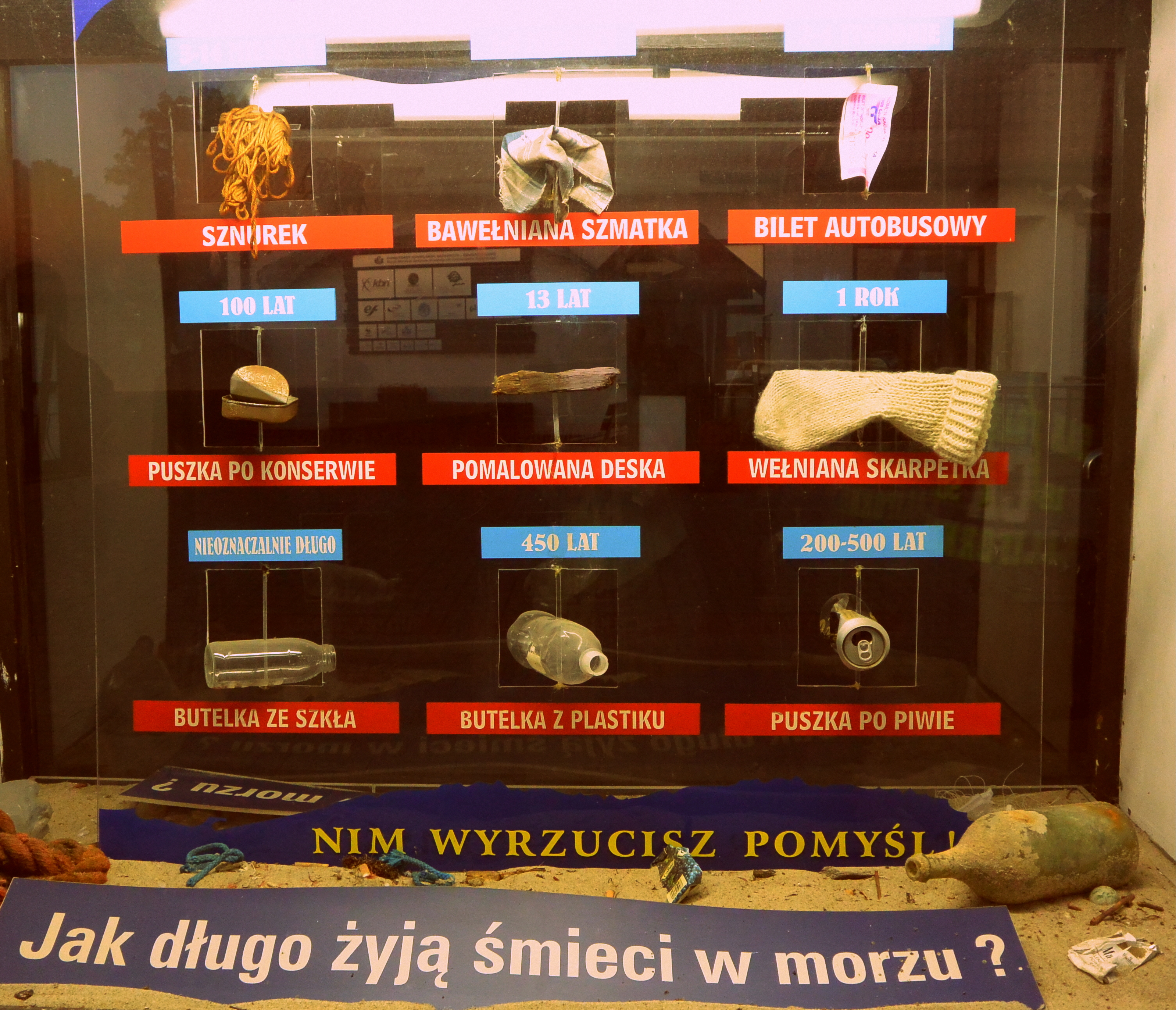 co pływa w Bałtyku
